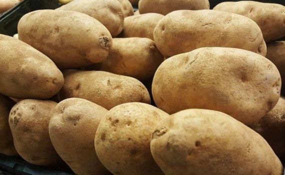 Семенной картофель из Франции - AgroExpert.md