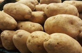 Семенной картофель из Франции - AgroExpert.md