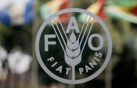 Granturi FAO in Moldova - AgroExpert.md