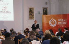 Viorel Gherciu sectorul vitivinicol din Moldova - AgroExpert.md