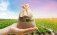Агрострахование в Молдове - AgroExpert.md