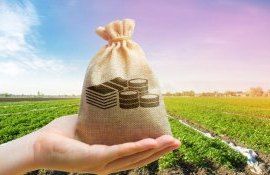 Агрострахование в Молдове - AgroExpert.md