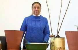 Plantarea zmeurului in ghiveci - AgroExpert.md