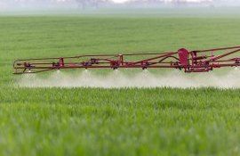 Ingrasamint foliar ICL - AgroExpert.md