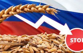 Экспорт пшеницы из России - AgroExpert.md