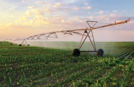 Sisteme de irigare in Moldova - AgroExpert.md