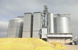 Preturi la cereale - AgroExpert.md