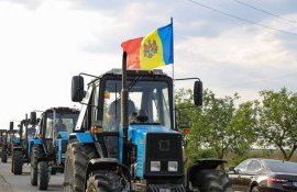 Asociatia Forta Fermierilor Moldova - AgroExpert.md