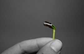 Semanatul la floarea soarelui - AgroExpert.md