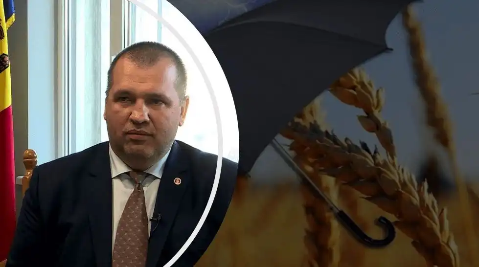 Vasile Șarban despre mecanismul de asigurare a riscurilor în agricultură