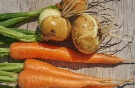 Лук и морковь в Молдове - AgroExpert.md