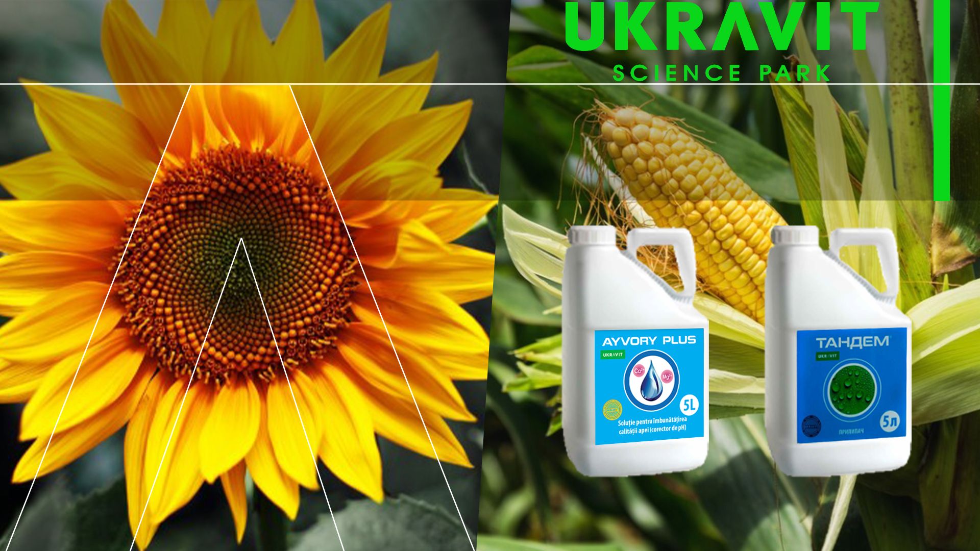 Ukravit - AgroExpert.md