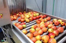 Compensarea pomicultorilor din Moldova - AgroExpert.md