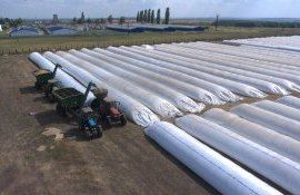 Хранение зерна в Украине - AgroExpert.md