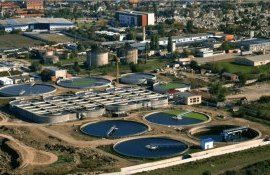 Ingrasamint natural gratuit in Romania - AgroExpert.md