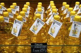 Экспорт подсолнечного масла из России - AgroExpert.md