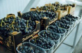 Экспорт винограда из Молдовы - AgroExpert.md