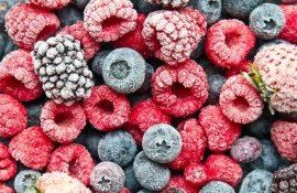 Bacifere congelate- AgroExpert.md