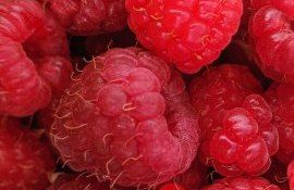 Цена на малину - AgroExpert.md