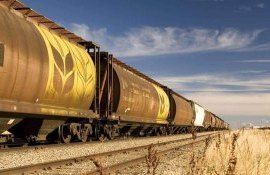 Экспорт муки и пшеницы из Казахстана - AgroExpert.md