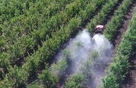 Stropire in livezi - AgroExpert.md