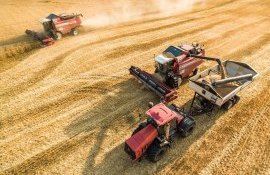 Fermierii din Moldova - AgroExpert.md