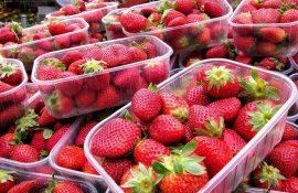 Цена на клубнику в Молдове - AgroExpert.md