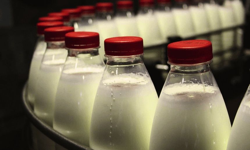 Молочная продукция из Украины - AgroExpert.md