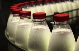 Молочная продукция из Украины - AgroExpert.md