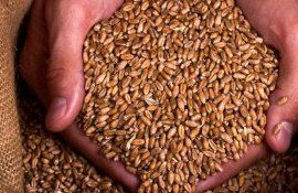 Ajutor FAO pentru fermierii mici din Moldova - AgroExpert.md