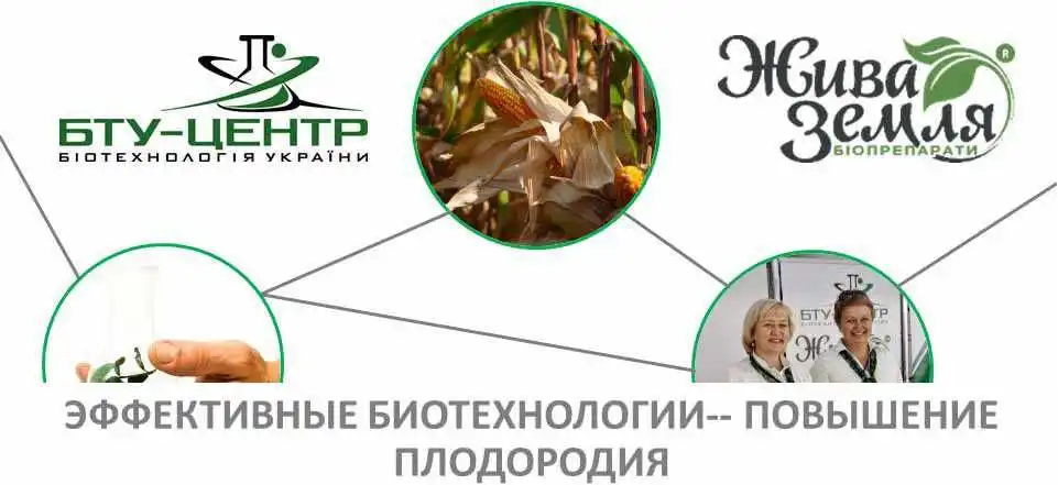 Часть 1: Целесообразность использования препаратов Граундфикс + Экостерн + Liposam перед предпосевной культивацией