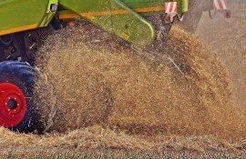 Уборка урожая в России - AgroExpert.md