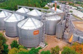 Prețul cerealelor - AgroExpert.md