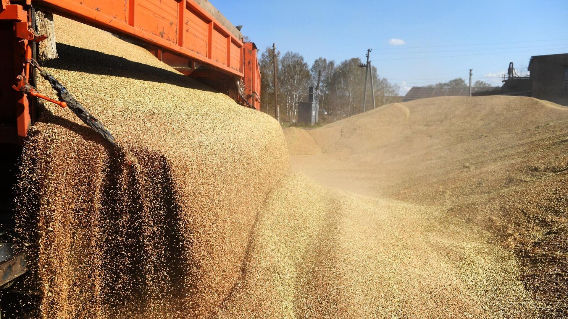 Export cereale din Moldova - AgroExpert.md