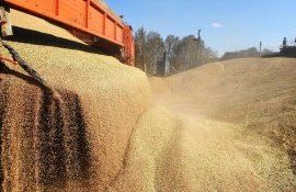 Export cereale din Moldova - AgroExpert.md