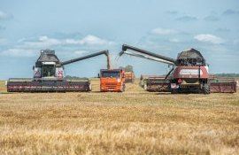 Сроки уборки урожая - AgroExpert.md