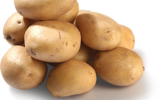 Цена на новый картофель в Молдове - AgroExpert.md