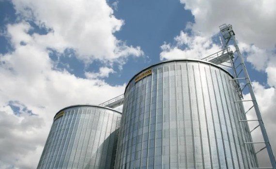 Урожай зерна в Молдове - AgroExpert.md