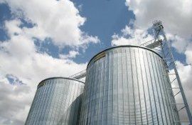 Урожай зерна в Молдове - AgroExpert.md