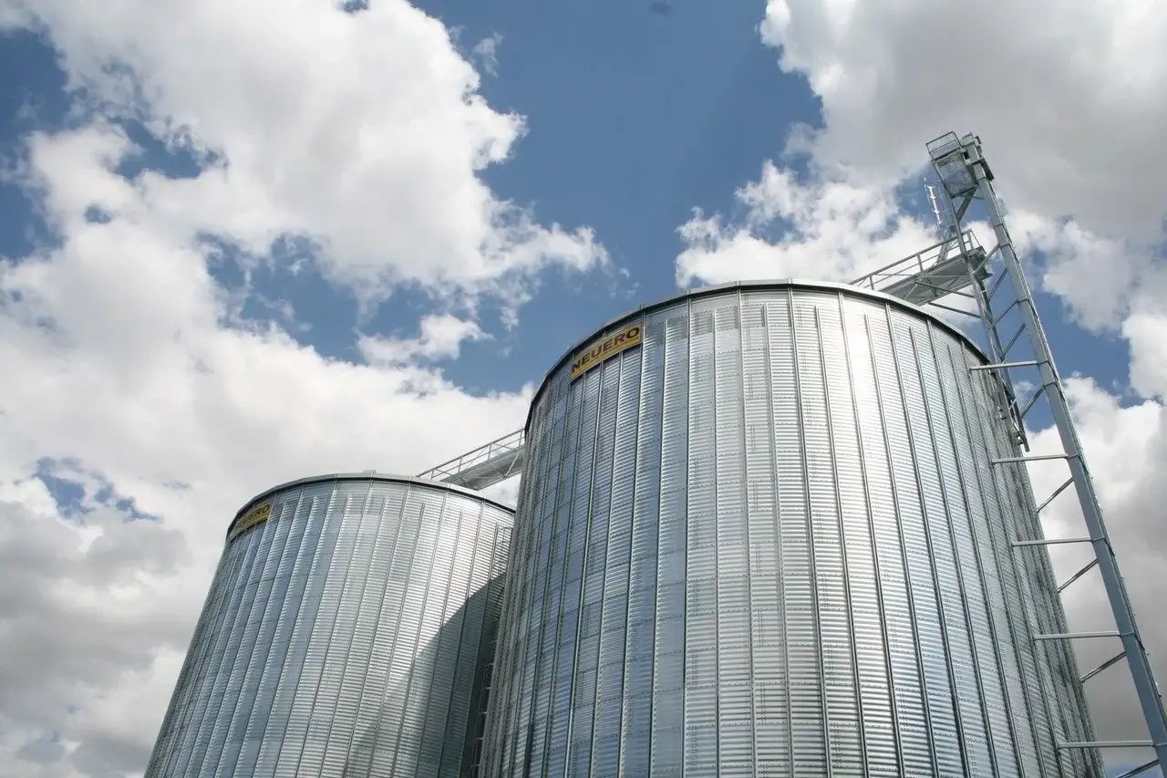 Урожай зерна в Молдове - AgroExpert.md