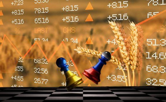 Рекордная цена на пшеницу - AgroExpert.md