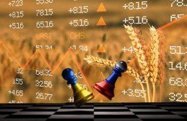 Рекордная цена на пшеницу - AgroExpert.md