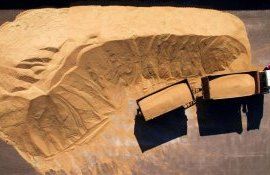 Цена на пшеницу растет - AgroExpert.md