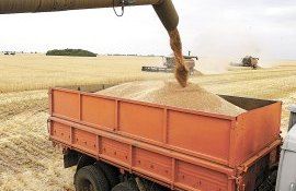 Игорь Тагадюк - AgroExpert.md