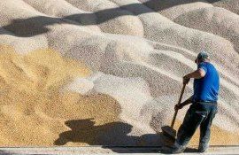 Зерно в портах Украины - AgroExpert.md