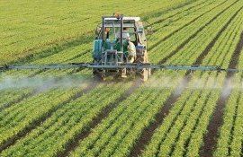 СЗР в Украине - AgroExpert.md