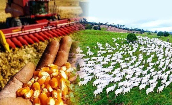 Provocările din sectorul agricol din Moldova - AgroExpert.md
