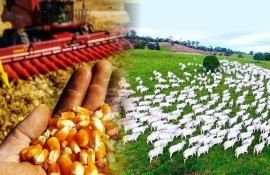 Provocările din sectorul agricol din Moldova - AgroExpert.md