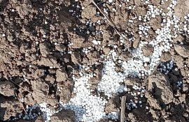 Preț la îngrășăminte minerale - AgroExpert.md