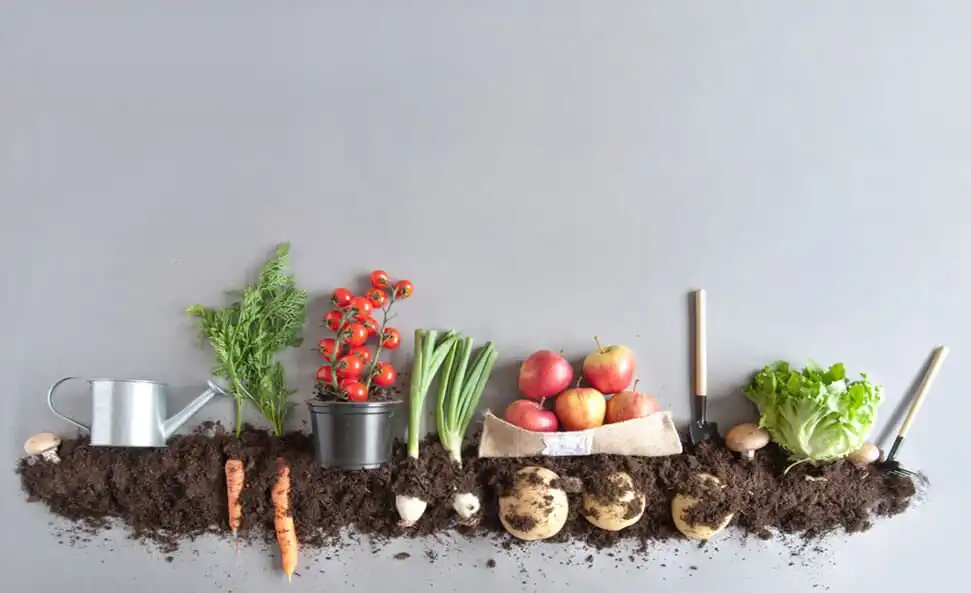 Молдавская экопродукция: хождение по кругу